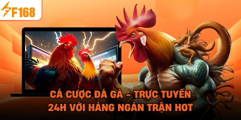 Cá Cược Đá Gà - Trực Tuyến 24H Với Hàng Ngàn Trận Hot