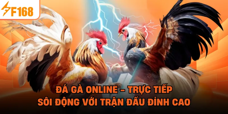 Đá Gà Online - Trực Tiếp Sôi Động Với Trận Đấu Đỉnh Cao