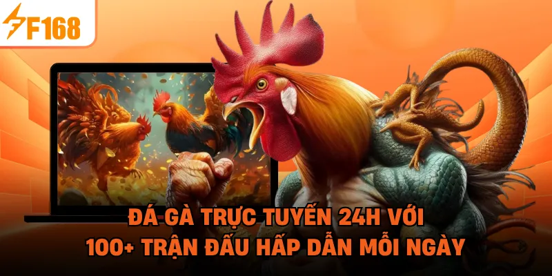 Đá Gà Trực Tuyến 24H Với 100+ Trận Đấu Hấp Dẫn Mỗi Ngày