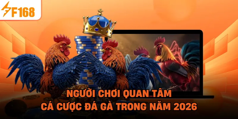 Người chơi quan tâm cá cược đá gà trong năm 2026