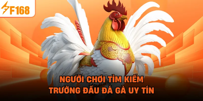 Người chơi tìm kiếm trường đấu đá gà uy tín