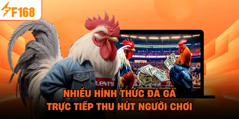 Nhiều hình thức đá gà trực tiếp thu hút người chơi