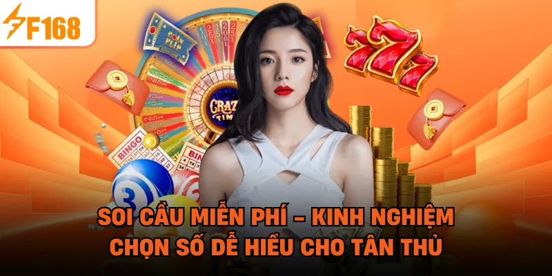 Soi Cầu Miễn Phí - Kinh Nghiệm Chọn Số Dễ Hiểu Cho Tân Thủ