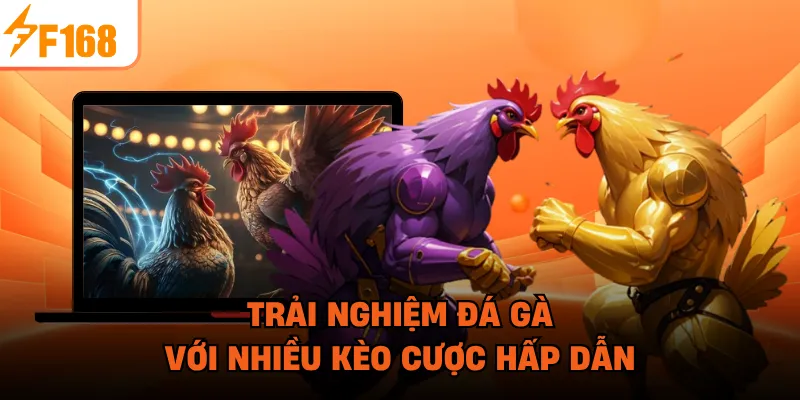 Trải nghiệm đá gà với nhiều kèo cược hấp dẫn